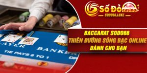 Baccarat Sodo66 - Thiên Đường Sòng Bạc Online Dành Cho Bạn