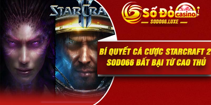 Bí quyết cá cược StarCraft 2 Sodo66 bất bại từ cao thủ
