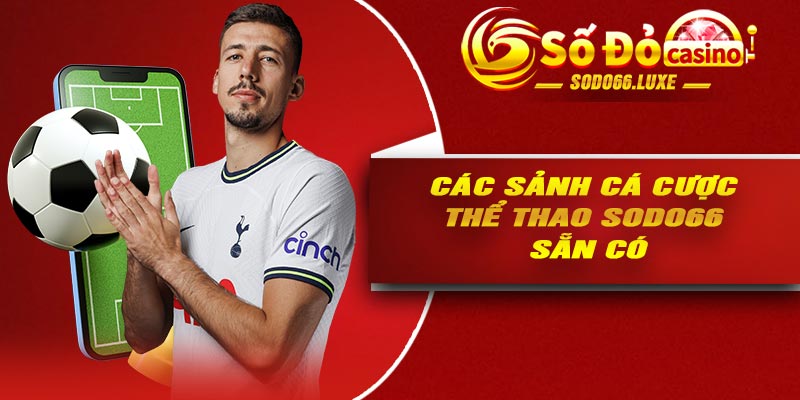 Các sảnh cá cược thể thao Sodo66 sẵn có