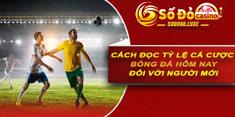 Cách đọc tỷ lệ cá cược bóng đá hôm nay đối với người mới
