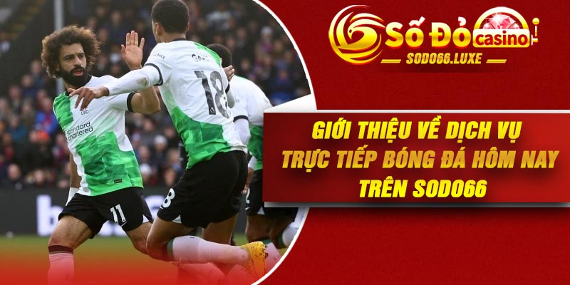 Giới thiệu về dịch vụ trực tiếp bóng đá hôm nay trên Sodo66