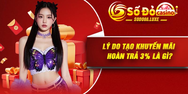 Lý do tạo khuyến mãi hoàn trả 3% là gì?