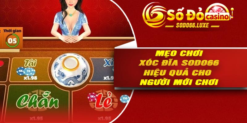 Mẹo chơi xóc đĩa Sodo66 hiệu quả cho người mới chơi