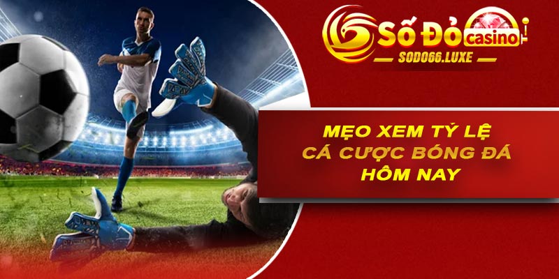 Mẹo xem tỷ lệ cá cược bóng đá hôm nay