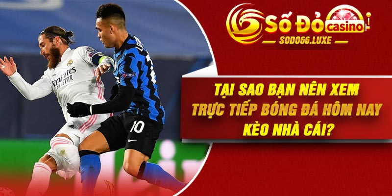 Tại sao bạn nên xem trực tiếp bóng đá hôm nay kèo nhà cái?