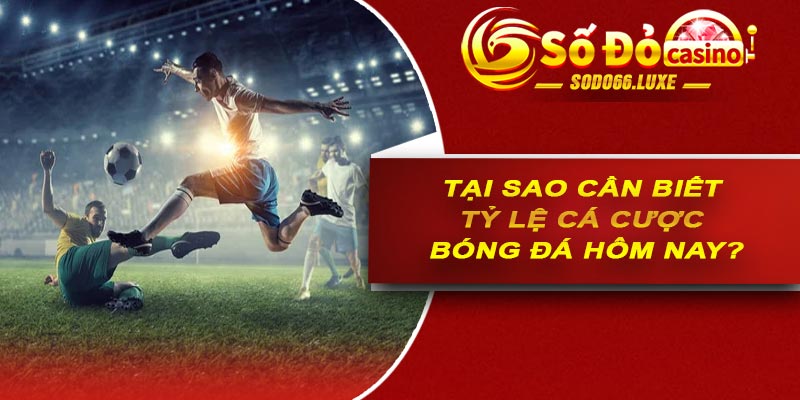 Tại sao cần biết tỷ lệ cá cược bóng đá hôm nay?