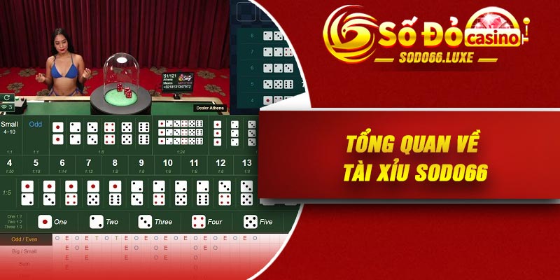 Tổng quan về tài xỉu Sodo66