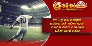 Tỷ Lệ Cá Cược Bóng Đá Hôm Nay – Cách Đọc Chuẩn Làm Chủ Kèo