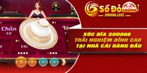 Xóc Đĩa Sodo66 – Trải Nghiệm Đỉnh Cao Tại Nhà Cái Hàng Đầu